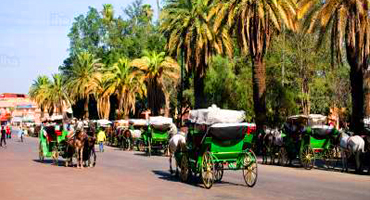 Weekend Around marrakech