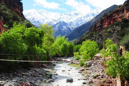 Day Trip To Ourika Valley
